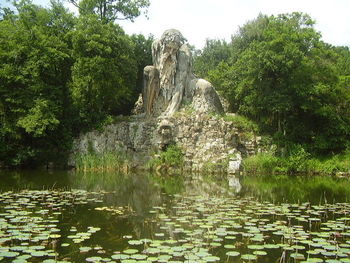 Statue by lake against trees