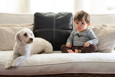 Toddler boy and white dog sitting on sofa