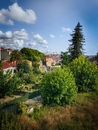 Trees and plants growing on field against sky