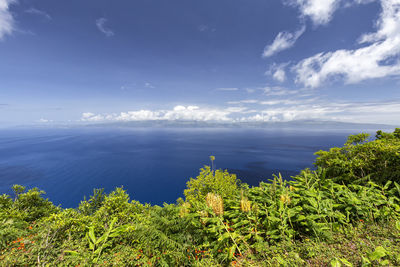 Scenic view of sea against sky