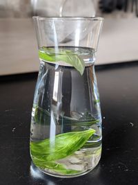 Close-up of drink in glass on table