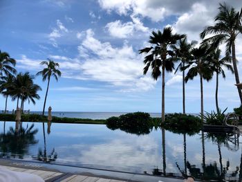 Palm trees by swimming pool against sky