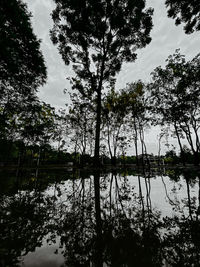 Scenic view of lake in forest against sky