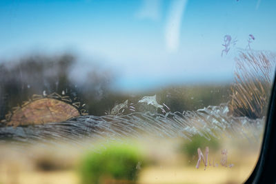 Close-up of raindrops on glass window