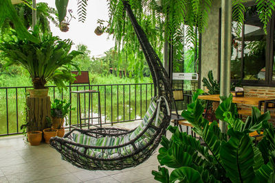 Hanging chair in cafe terrace