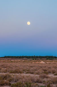 Scenic view of field against clear sky at night