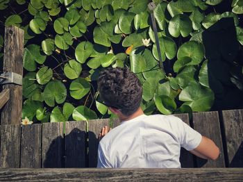 High angle view of man lying on footbridge over pond at botanical garden