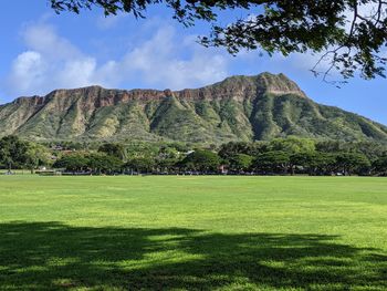 Scenic view of field against sky