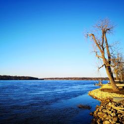 Scenic view of lake against clear blue sky