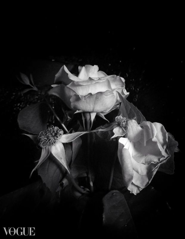 CLOSE-UP OF ROSE BOUQUET