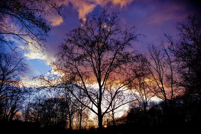 Low angle view of bare tree against sky