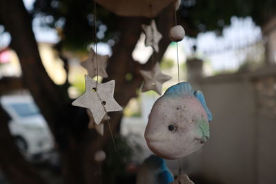 Close-up of stuffed toy hanging on tree