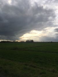 Scenic view of field against sky