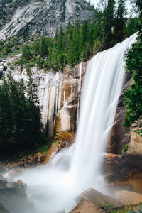 Scenic view of waterfall in forest