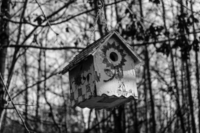 Close-up of birdhouse hanging against trees