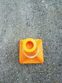 Close-up high angle view of leaves