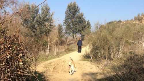 Rear view of man walking on road amidst trees