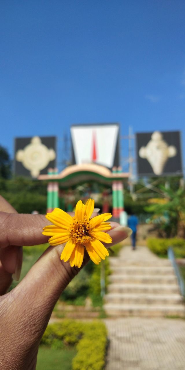 CLOSE-UP OF HAND HOLDING YELLOW FLOWER AGAINST SKY