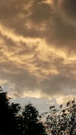 Low angle view of silhouette trees against sky