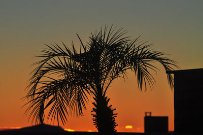 Silhouette palm trees against sky during sunset