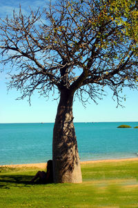 Scenic view of sea against clear sky