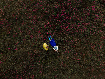 High angle view of child on field