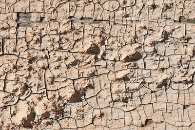 Full frame shot of weathered wall