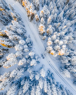 High angle view of snow covered landscape