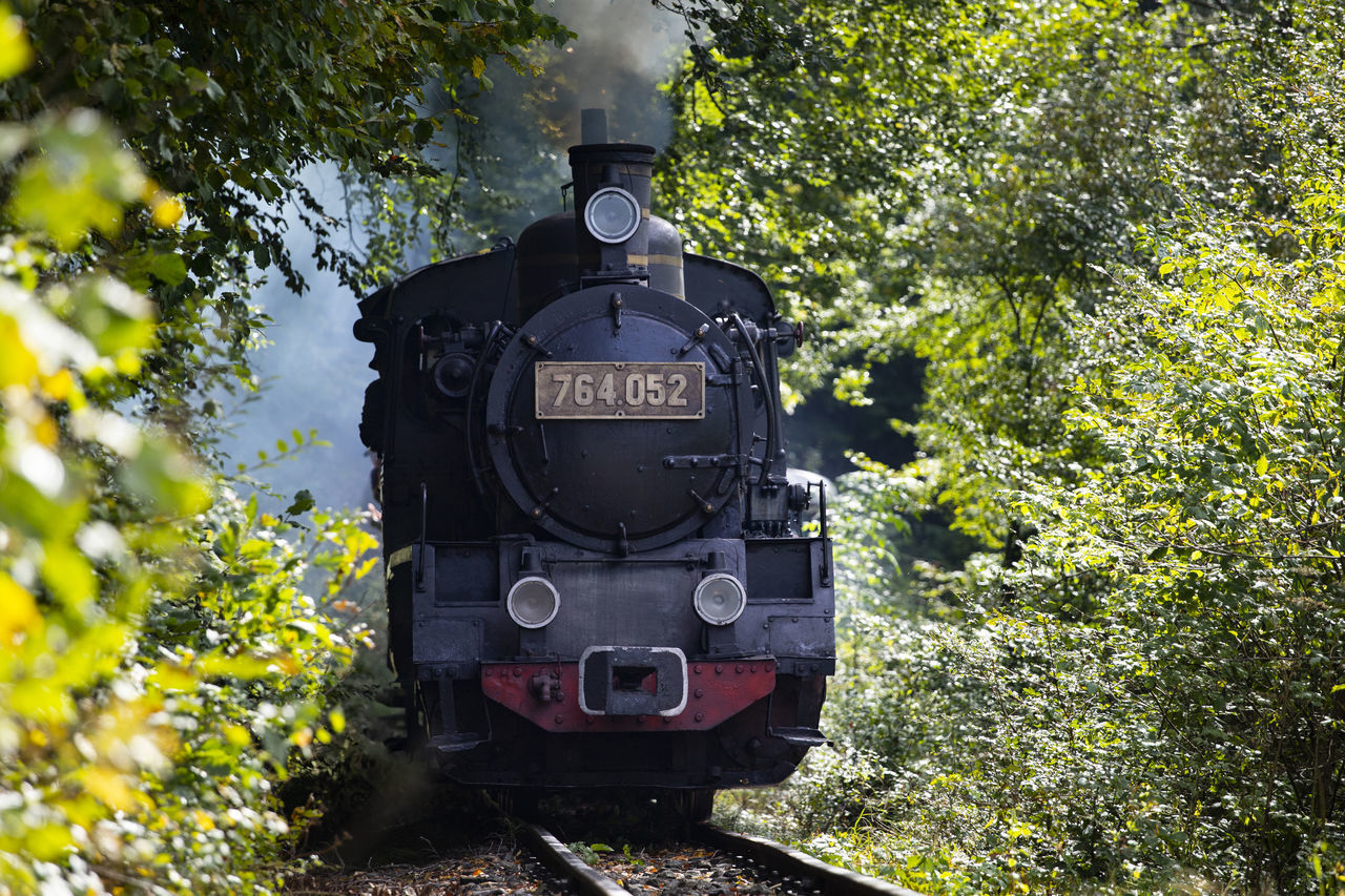 TRAIN ON RAILROAD TRACKS