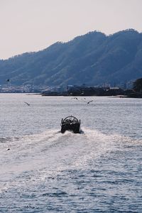 Horse swimming in sea