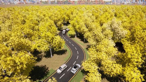 High angle view of road amidst trees during autumn