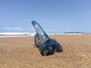 Surface level of sandy beach