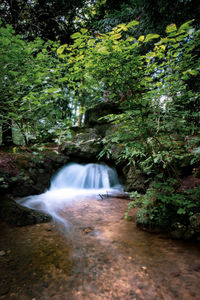 Waterfall in forest