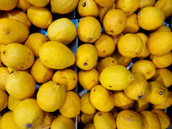 Full frame shot of lemons background