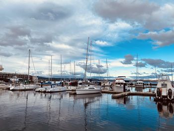 Sailboats moored in harbor