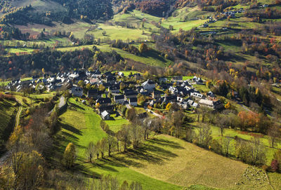 Scenic view of agricultural field