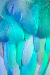 Full frame shot of multi colored feathers