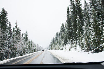 Snow covered road amidst trees