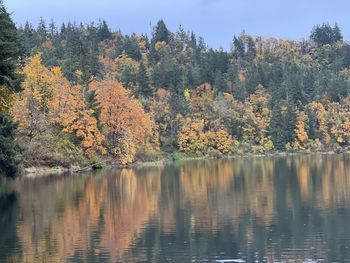 Scenic view of lake by trees during autumn