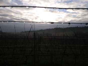 Field against sky seen through fence