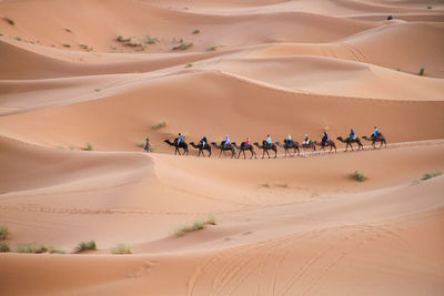 Desert with dunes and row of people riding camel