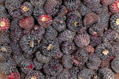 Full frame shot of berries