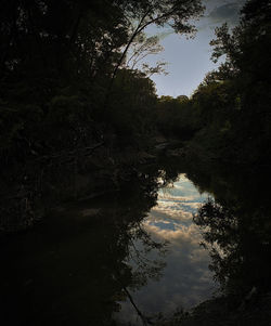 Scenic view of lake in forest against sky