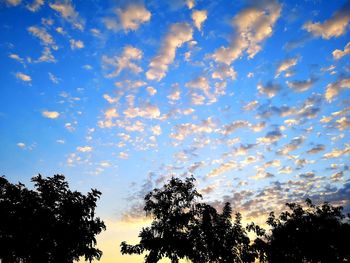 Low angle view of silhouette trees against sky at sunset