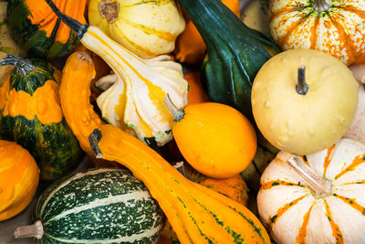 High angle view of pumpkins in market