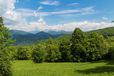 Scenic view of landscape against sky