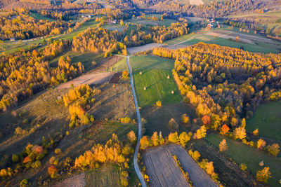 Aerial picture of a countryside village road. drone shot of agricultural fields, forest