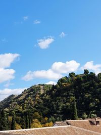 Trees on field against sky