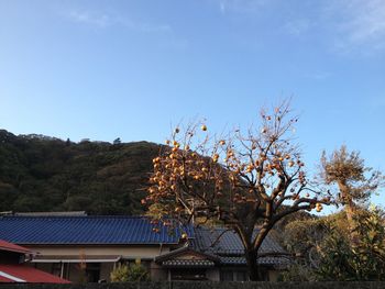 Low angle view of built structure against blue sky