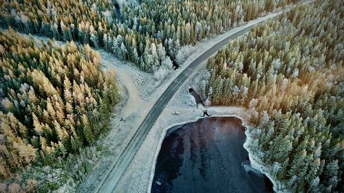 High angle view of road amidst trees